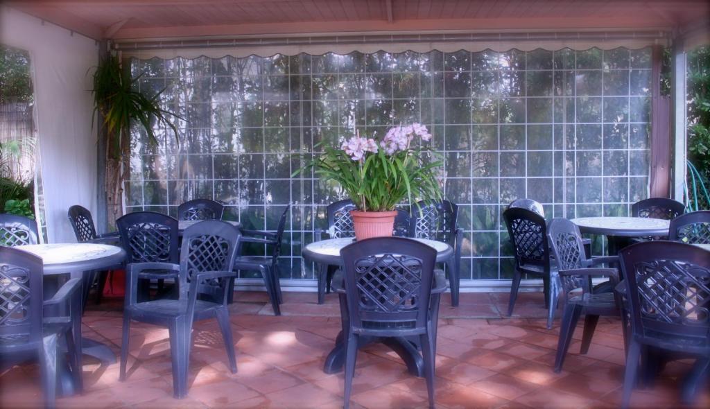 Hotel Manuela Cinquale Bagian luar foto